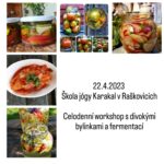 Celodenní jarní workshop s divokými bylinkami a fermentací